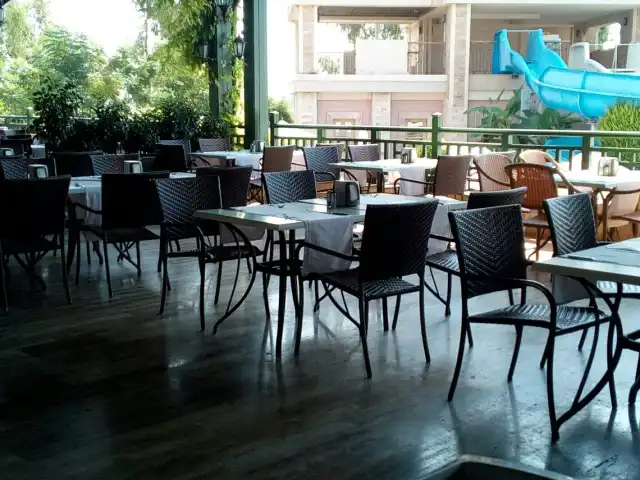 Crystal Paraiso Verde Restaurant'nin yemek ve ambiyans fotoğrafları 14