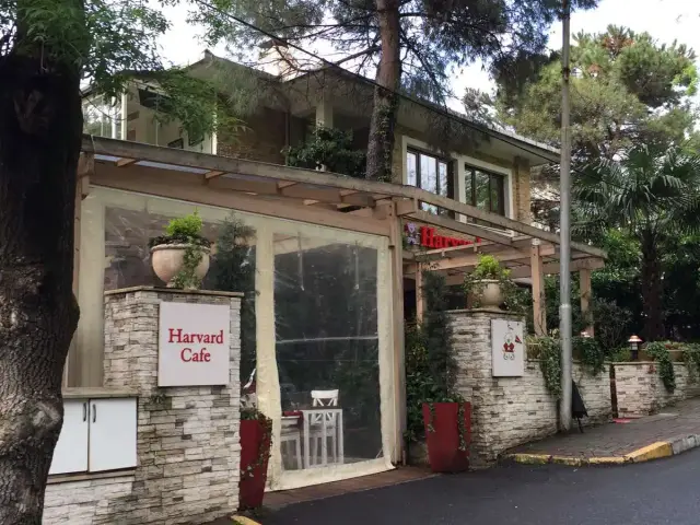 Harvard Cafe'nin yemek ve ambiyans fotoğrafları 30