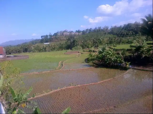 Rumah Makan Enak