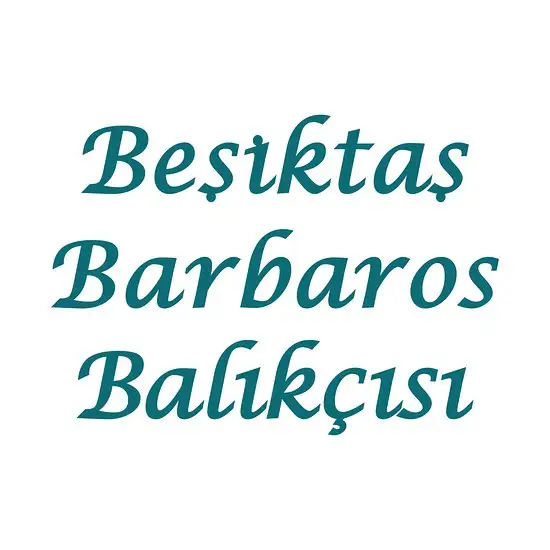 Beşiktaş Barbaros Balıkçısı