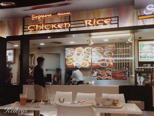 Gambar Makanan Singapore Hainanese Chicken Rice 10