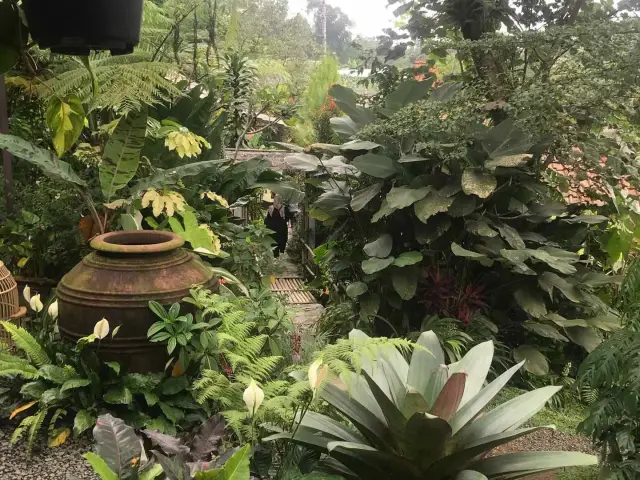 Gambar Makanan Sawah Segar Sentul 16