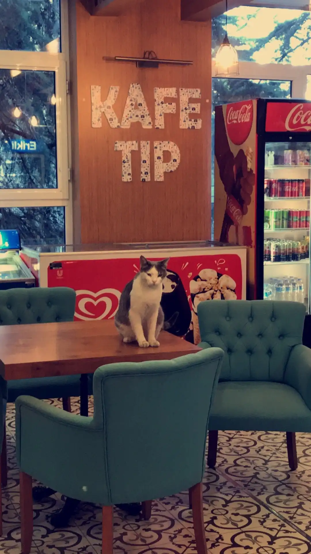 Cafe Tıp