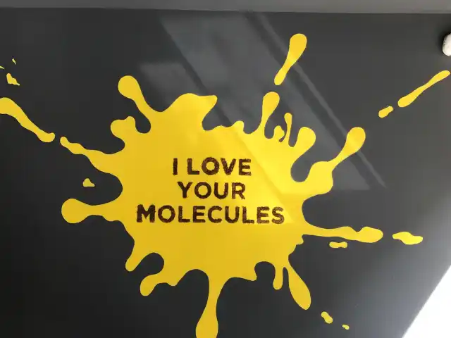 Molecule Cafe'nin yemek ve ambiyans fotoğrafları 67