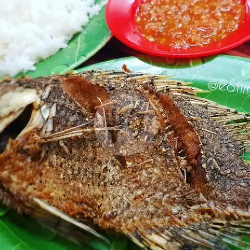 Gambar Makanan Pecel Lele Sambal Mantap Pakde Mijo, Sumoharjo 10