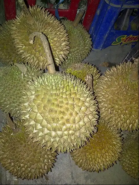 Gambar Makanan Sentra Durian Sinapeul 5