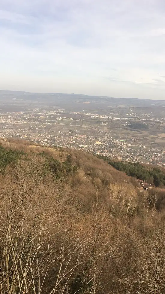 Manzara Restaurant'nin yemek ve ambiyans fotoğrafları 65