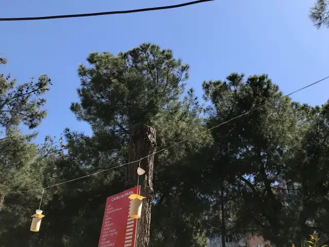 Çamlık İpekyolu Cafe'nin yemek ve ambiyans fotoğrafları 10