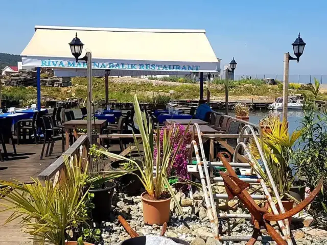 Riva Yelken Balık Restaurant'nin yemek ve ambiyans fotoğrafları 13