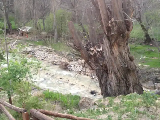 İnözü Vadisi Dostlar Tesisi'nin yemek ve ambiyans fotoğrafları 10