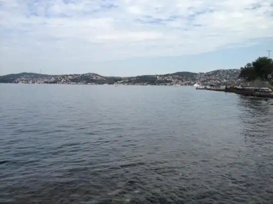 Beykoz Sahil Sosyal Tesisi'nin yemek ve ambiyans fotoğrafları 67