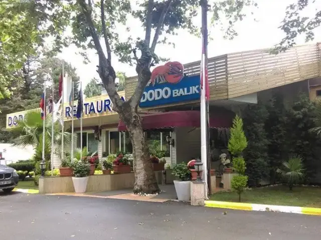 Dodo Balik Restaurant'nin yemek ve ambiyans fotoğrafları 53