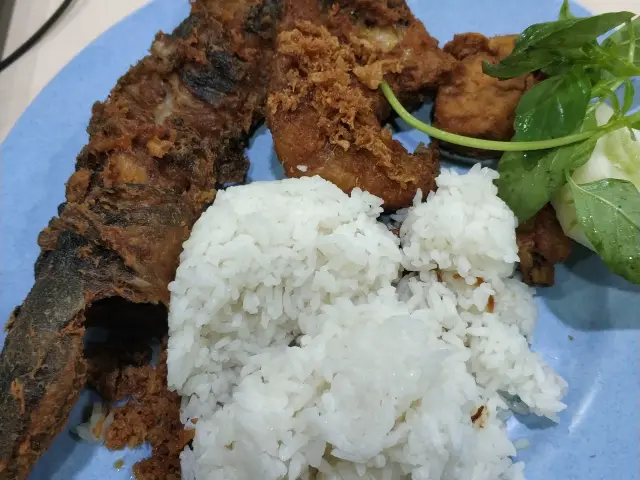 Gambar Makanan Pecel Lele Bryan Jaya 11