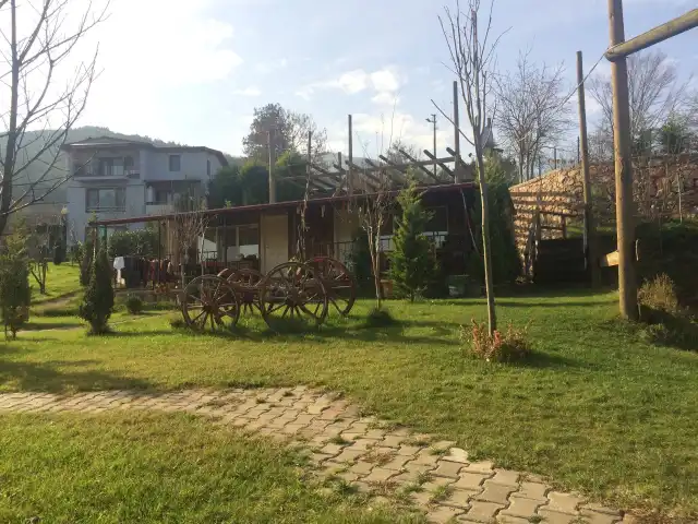 Baraka Restaurant'nin yemek ve ambiyans fotoğrafları 2