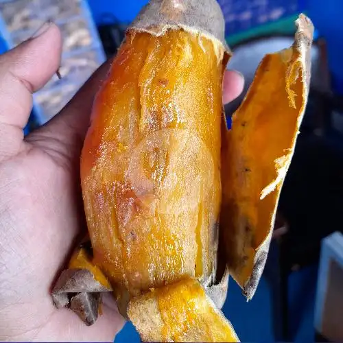 Gambar Makanan Ubi Cilembu Bakar, Denpasar 4