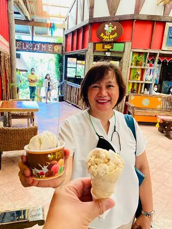 Bohol Bee Farm's The Buzzz Ice Cream