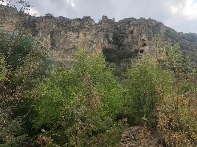 Cevizlibağ'nin yemek ve ambiyans fotoğrafları 10