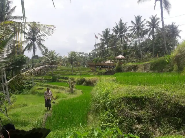 Gambar Makanan Sareng Sareng Ubud 14