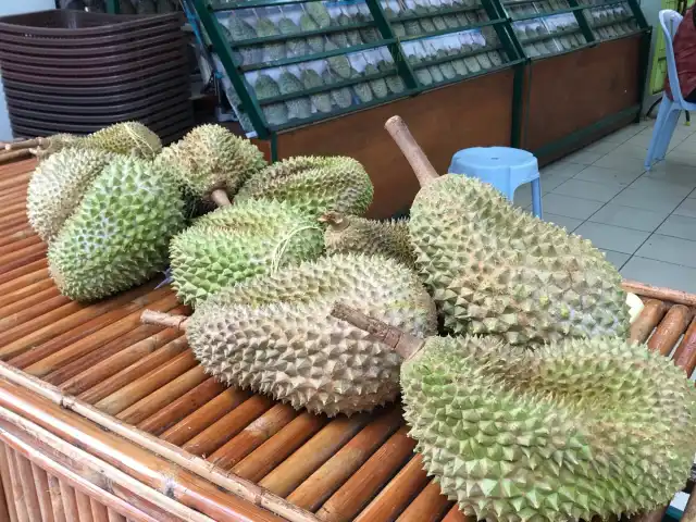 Durian Sinnaco Specialist Food Photo 15
