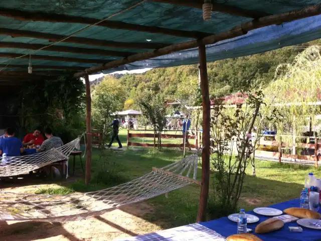 Bozhane Park Piknik Alani'nin yemek ve ambiyans fotoğrafları 6