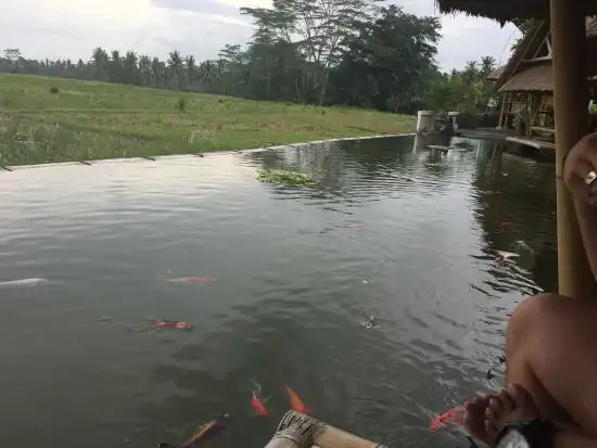 Gambar Makanan Bebek Tebasari Resto 11