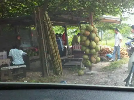 Air Kelapa Muda Bawah Pokok Ceri Food Photo 10