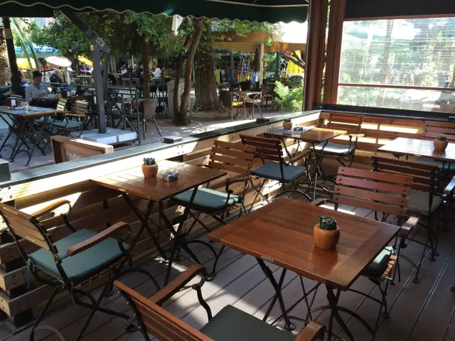 Düş Cafe'nin yemek ve ambiyans fotoğrafları 2