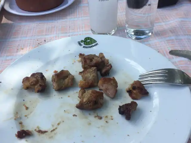 Subaşı Şelalesi Piknik Retaurant'nin yemek ve ambiyans fotoğrafları 1