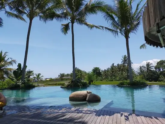 Gambar Makanan Kelapa Muda Ubud 7