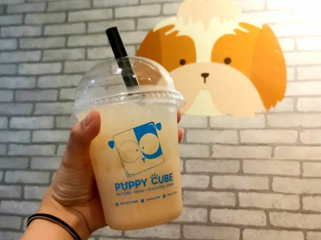 Gambar Makanan Puppy Cube 8