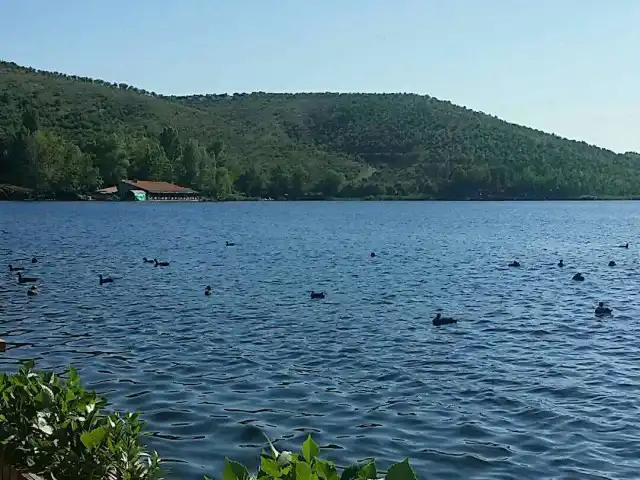 Yelkenci Büfe'nin yemek ve ambiyans fotoğrafları 2