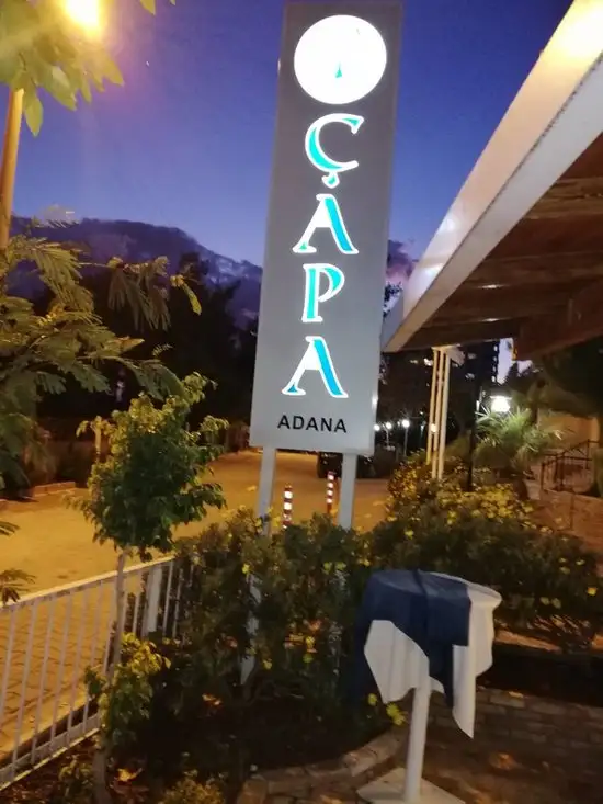 Çapa Balık Restaurant'nin yemek ve ambiyans fotoğrafları 6