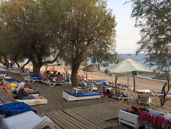 Hasan Motel Restaurant'nin yemek ve ambiyans fotoğrafları 3