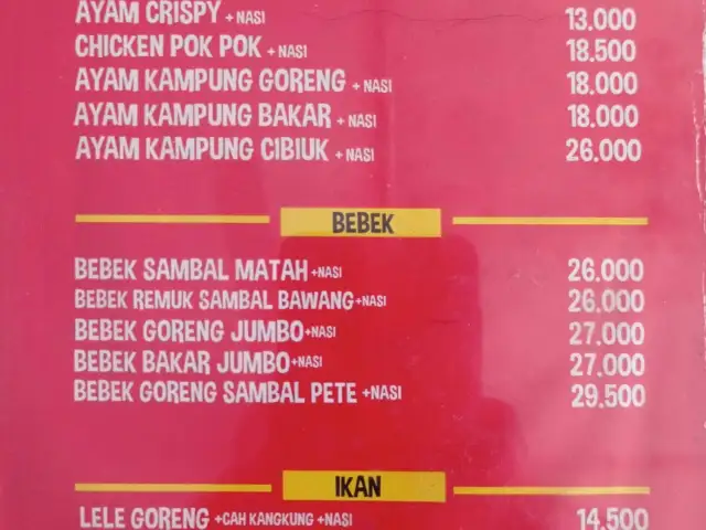 Gambar Makanan AyamGorengNelongso 15