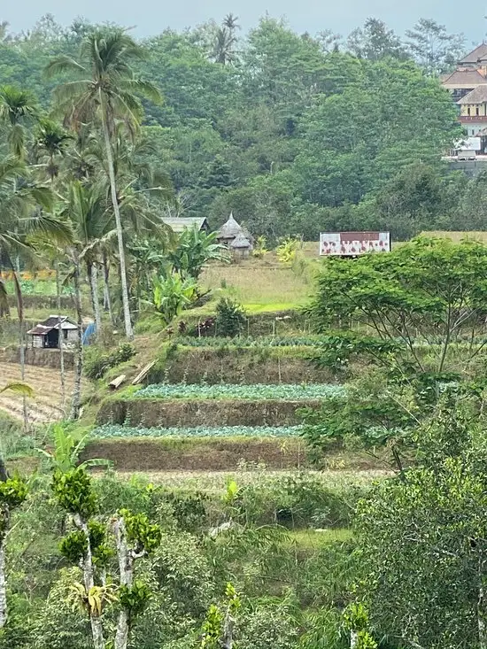 Gambar Makanan Warung Lelli Cofee Bar & Grill 6