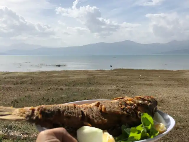 Tolca Balık Restorantı'nin yemek ve ambiyans fotoğrafları 5