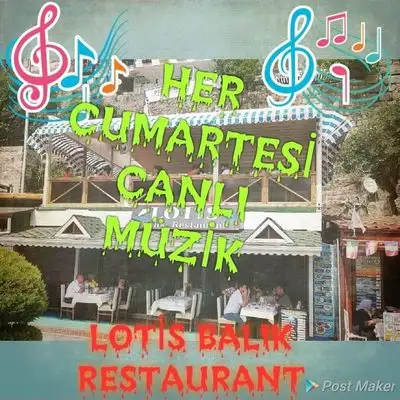 Lotis Balık Restaurant'nin yemek ve ambiyans fotoğrafları 4