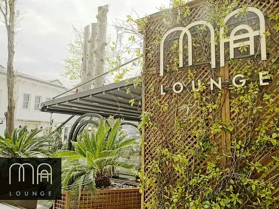 Maa Lounge'nin yemek ve ambiyans fotoğrafları 2