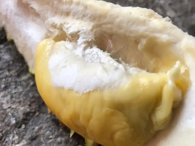 Cap Kaki Durian Food Photo 4