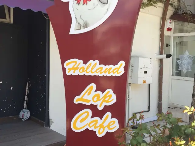Holland Lop Cafe'nin yemek ve ambiyans fotoğrafları 28