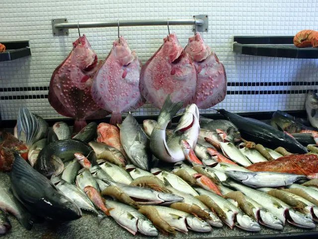 Yüksel Balık'nin yemek ve ambiyans fotoğrafları 27