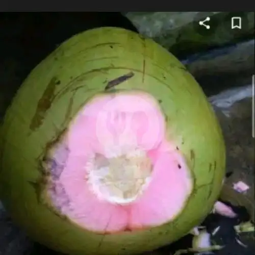 Gambar Makanan Es Kelapa Bang Edo 354, Pondok Jagung 9