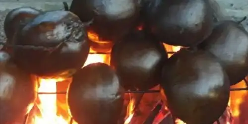 Kelapa Bakar Pakde Aryo, Cibubur