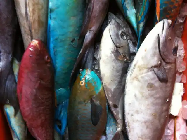 Gambar Makanan Lesehan Ikan Bakar Tanjung Alam 16