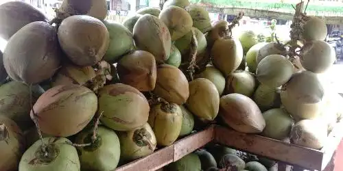 Warung Nuryadi Kelapa Ijo Bakar Obat