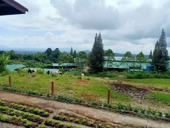 Gambar Makanan Gundaling FarmStead 11