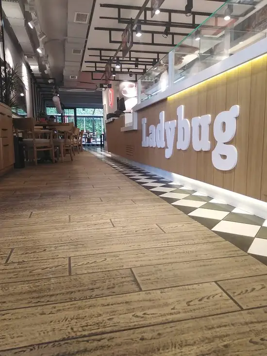 Ladybug Cafe'nin yemek ve ambiyans fotoğrafları 14