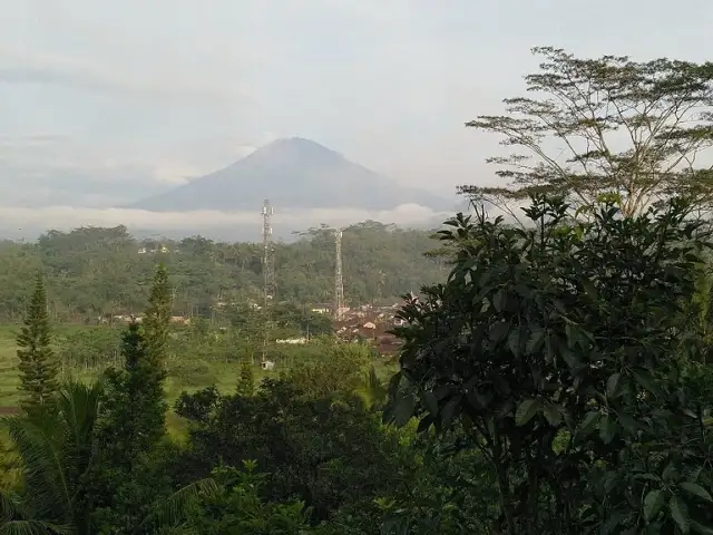 Gambar Makanan Pringgondani Restaurant 17