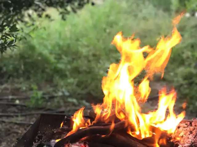 zahmacı mangal ocakbaşı'nin yemek ve ambiyans fotoğrafları 2