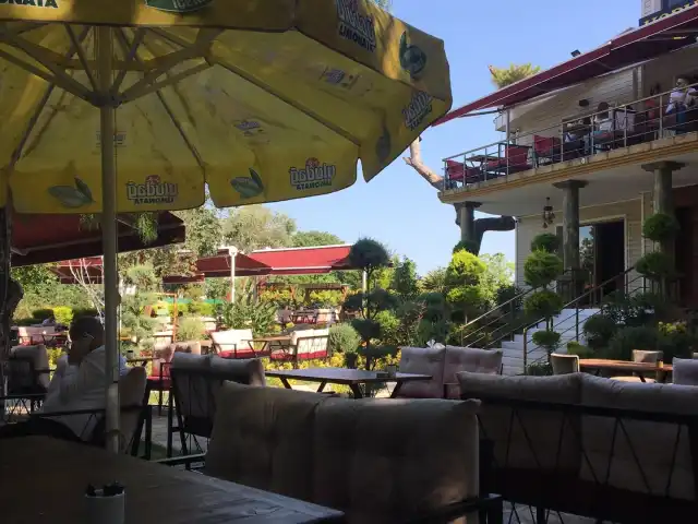 Koru Cafe Tuzla Mercan'nin yemek ve ambiyans fotoğrafları 2